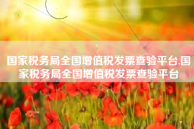 国家税务局全国增值税发票查验平台,国家税务局全国增值税发票查验平台