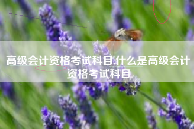 高级会计资格考试科目,什么是高级会计资格考试科目