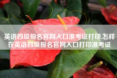 英语四级报名官网入口准考证打印,怎样在英语四级报名官网入口打印准考证