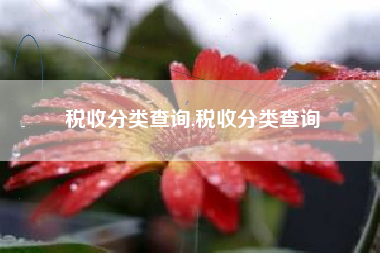税收分类查询,税收分类查询
