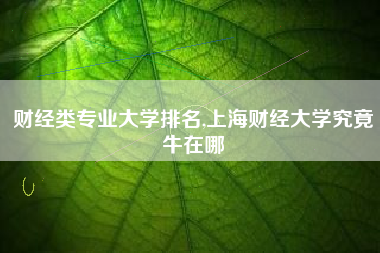 财经类专业大学排名,上海财经大学究竟牛在哪