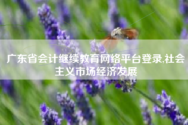 广东省会计继续教育网络平台登录,社会主义市场经济发展
