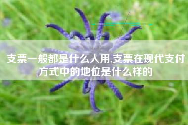 支票一般都是什么人用,支票在现代支付方式中的地位是什么样的