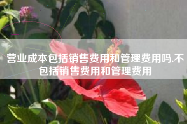 营业成本包括销售费用和管理费用吗,不包括销售费用和管理费用
