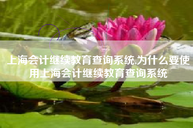 上海会计继续教育查询系统,为什么要使用上海会计继续教育查询系统