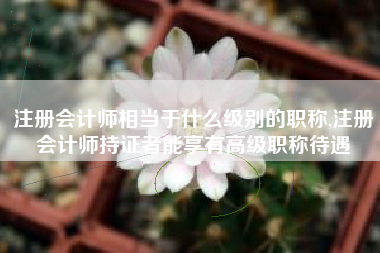 注册会计师相当于什么级别的职称,注册会计师持证者能享有高级职称待遇