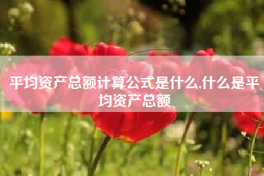 平均资产总额计算公式是什么,什么是平均资产总额