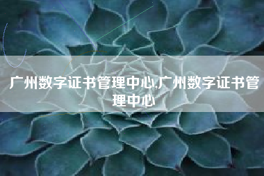 广州数字证书管理中心,广州数字证书管理中心