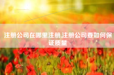 注册公司在哪里注册,注册公司要如何保证质量