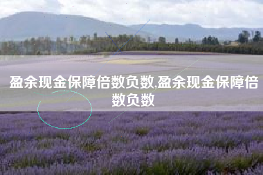 盈余现金保障倍数负数,盈余现金保障倍数负数