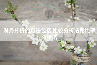 财务分析的方法包括,比较分析法和比率分析法