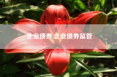 企业债券,企业债券监管