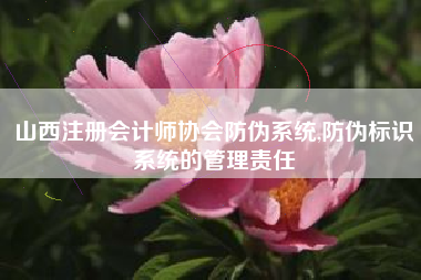 山西注册会计师协会防伪系统,防伪标识系统的管理责任