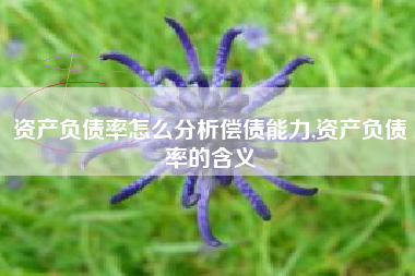 资产负债率怎么分析偿债能力,资产负债率的含义