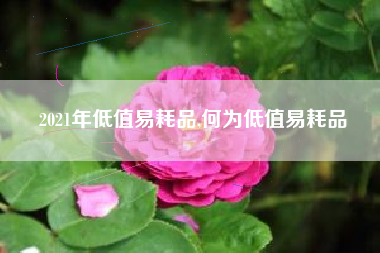 2021年低值易耗品,何为低值易耗品