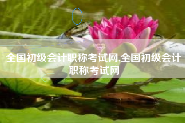 全国初级会计职称考试网,全国初级会计职称考试网