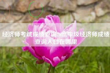 经济师考试成绩查询2022,中级经济师成绩查询入口在哪里