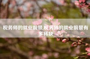 税务师的就业前景,税务师的就业前景有多稀缺