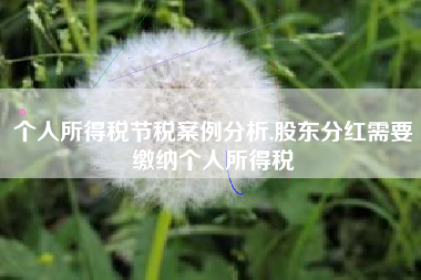 个人所得税节税案例分析,股东分红需要缴纳个人所得税