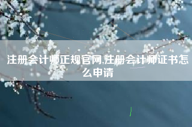注册会计师正规官网,注册会计师证书怎么申请