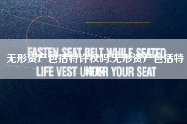 无形资产包括特许权吗,无形资产包括特许权