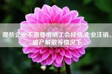 哪些企业不需要缴纳工会经费,企业注销、破产解散等情况下