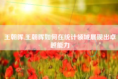 王朝晖,王朝晖如何在统计领域展现出卓越能力