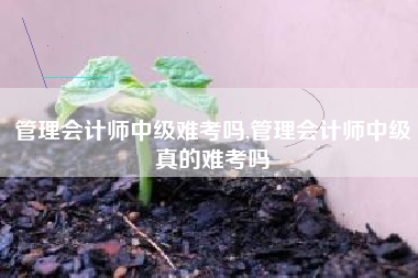 管理会计师中级难考吗,管理会计师中级真的难考吗