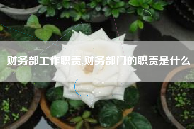 财务部工作职责,财务部门的职责是什么