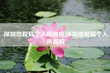 深圳地税局个人所得税,深圳地税局个人所得税
