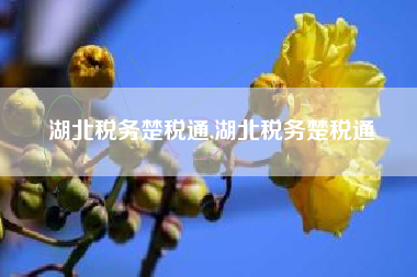 湖北税务楚税通,湖北税务楚税通