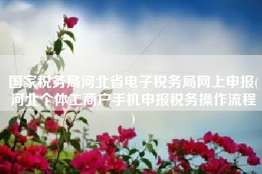 国家税务局河北省电子税务局网上申报(河北个体工商户手机申报税务操作流程
)