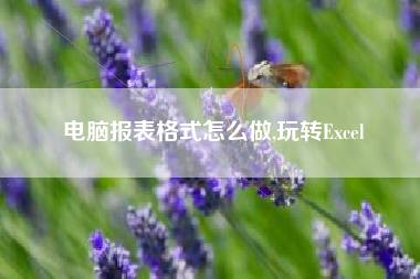 电脑报表格式怎么做,玩转Excel