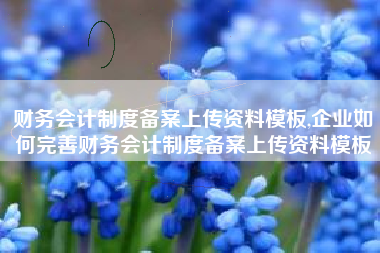 财务会计制度备案上传资料模板,企业如何完善财务会计制度备案上传资料模板