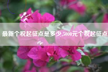 最新个税起征点是多少,5000元个税起征点