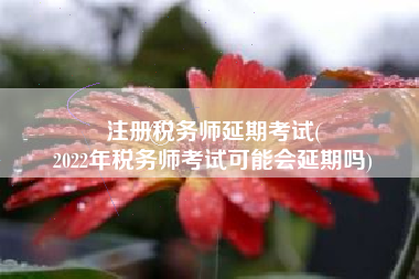 注册税务师延期考试(
2022年税务师考试可能会延期吗)