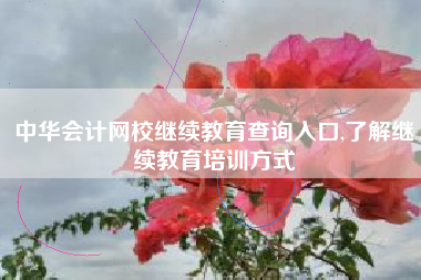 中华会计网校继续教育查询入口,了解继续教育培训方式