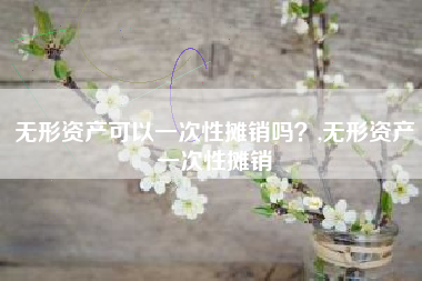 无形资产可以一次性摊销吗？,无形资产一次性摊销