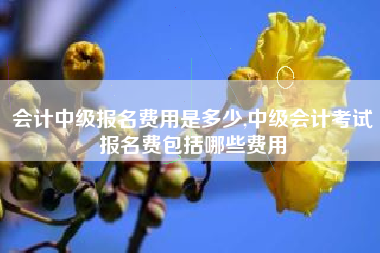 会计中级报名费用是多少,中级会计考试报名费包括哪些费用