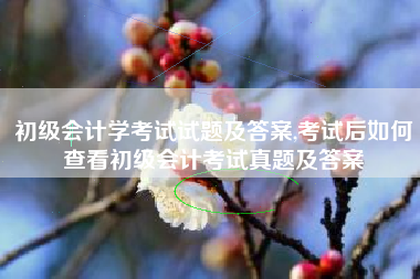 初级会计学考试试题及答案,考试后如何查看初级会计考试真题及答案