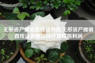 无形资产摊销直线法例题,无形资产摊销直线法需要如何计算税前利润