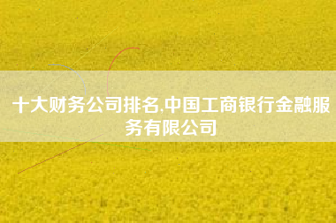 十大财务公司排名,中国工商银行金融服务有限公司