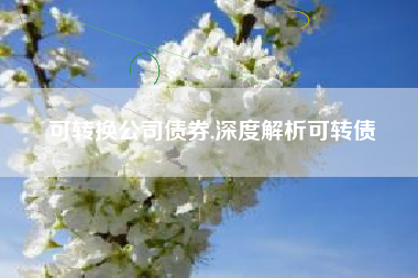 可转换公司债券,深度解析可转债
