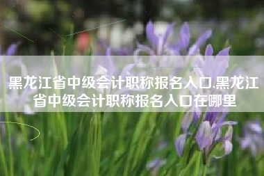 黑龙江省中级会计职称报名入口,黑龙江省中级会计职称报名入口在哪里