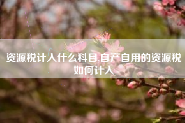 资源税计入什么科目,自产自用的资源税如何计入