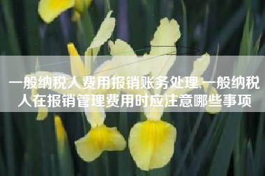 一般纳税人费用报销账务处理,一般纳税人在报销管理费用时应注意哪些事项