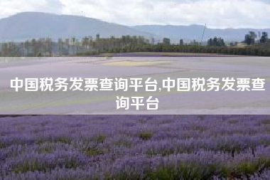 中国税务发票查询平台,中国税务发票查询平台