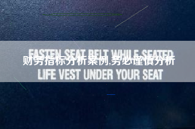 财务指标分析案例,务必谨慎分析