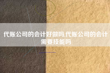 代账公司的会计好做吗,代账公司的会计需要技能吗