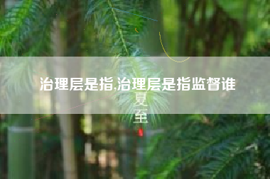 治理层是指,治理层是指监督谁
